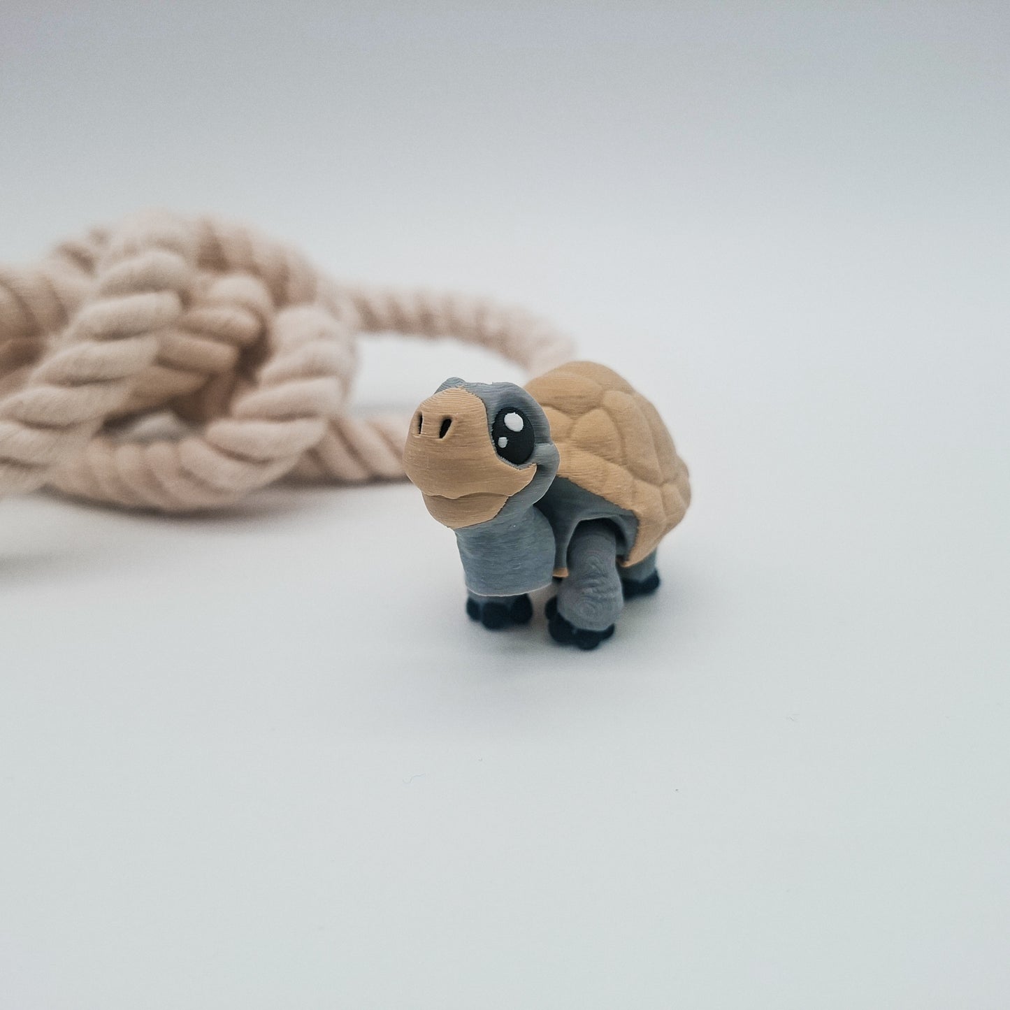 Coco Schildkröte | Hanii Sammelfigur