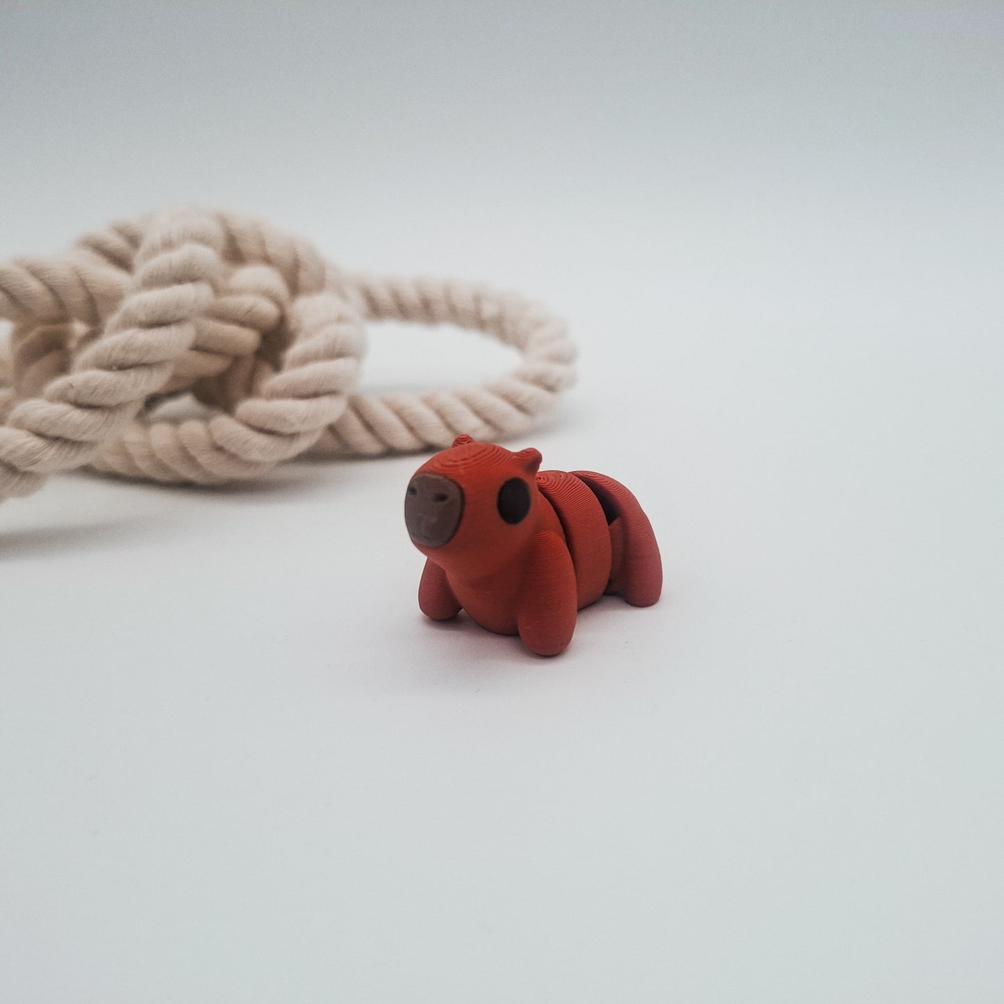 Karl Capybara | Hanii Sammelfigur