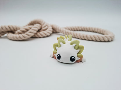Lumi Axolotl – der kleine Entdecker