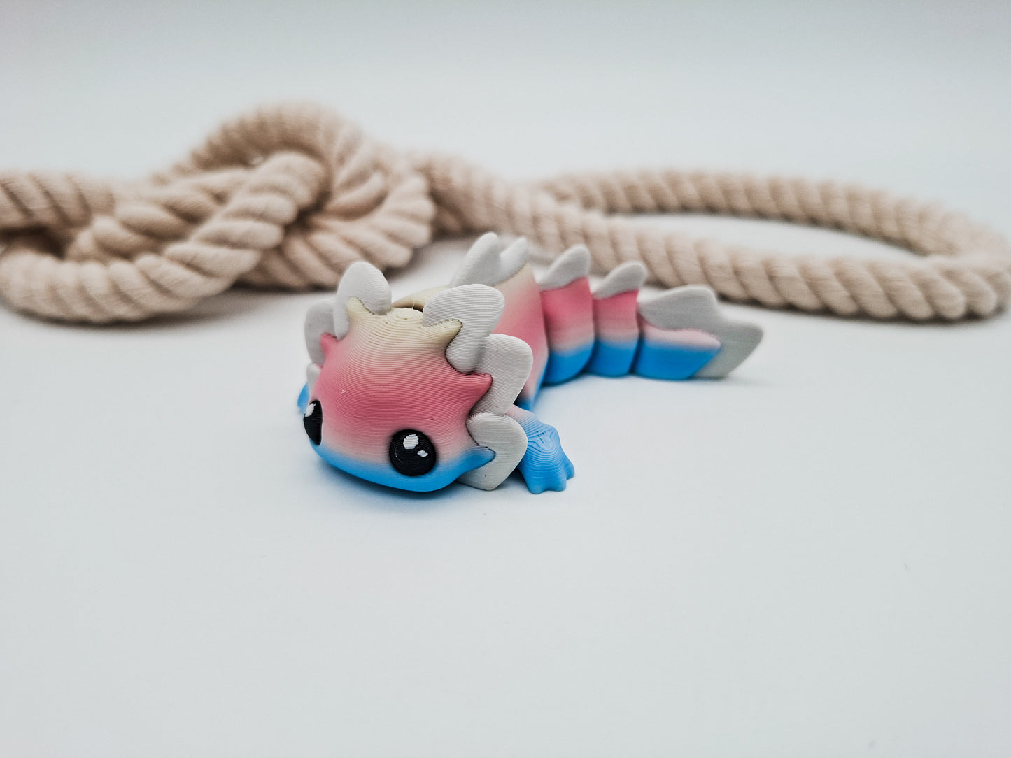 Lotti Axolotl – die kleine Wassernudel