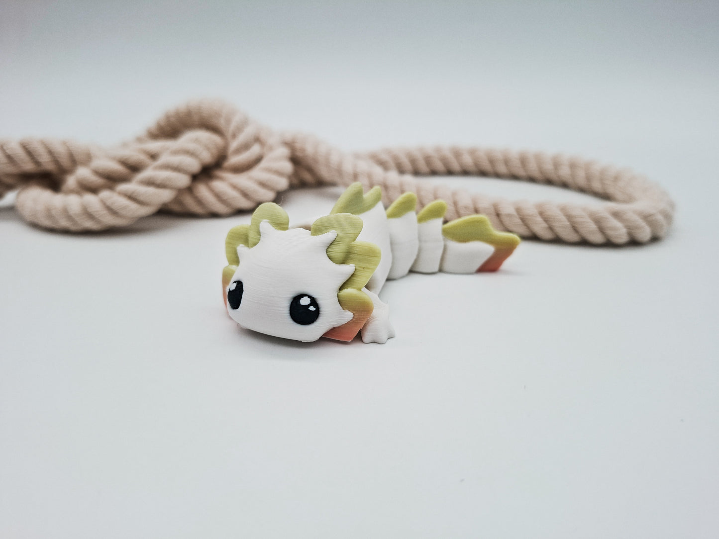 Lumi Axolotl – der kleine Entdecker